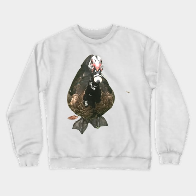 Love Duck Crewneck Sweatshirt by VIVJODI